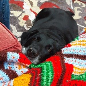 Meet your Posher, Omar